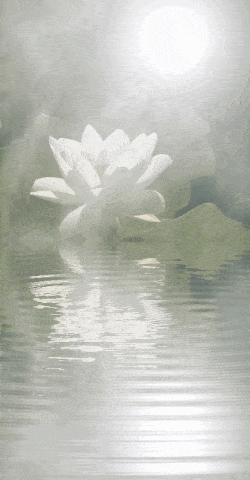 Bewustwording therapie-vormen Vibha Therapeut Zwolle